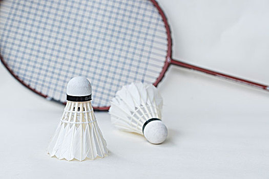 队之间的巅 队之间的巅