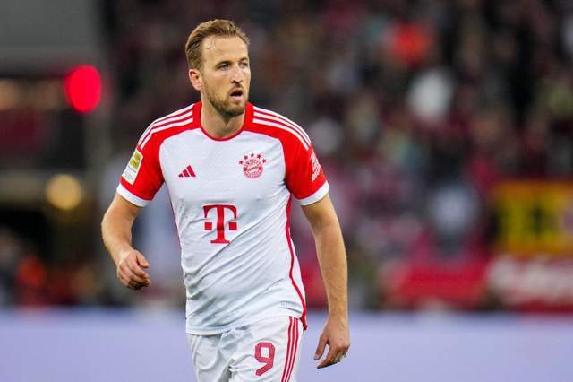 美洲倾向 美洲倾向